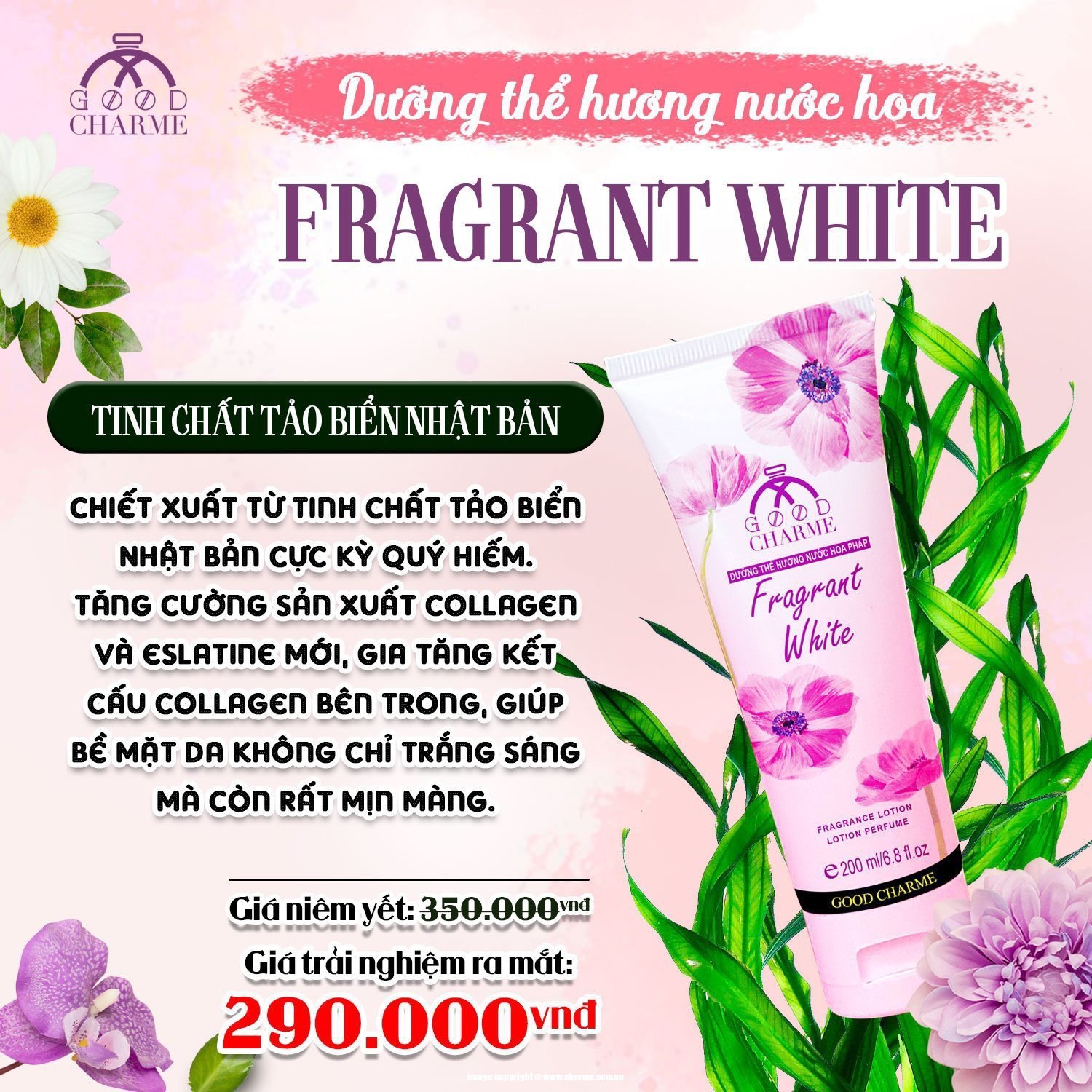 Dưỡng Thể Hương Nước Hoa Good Charme Fragrant White 200ml